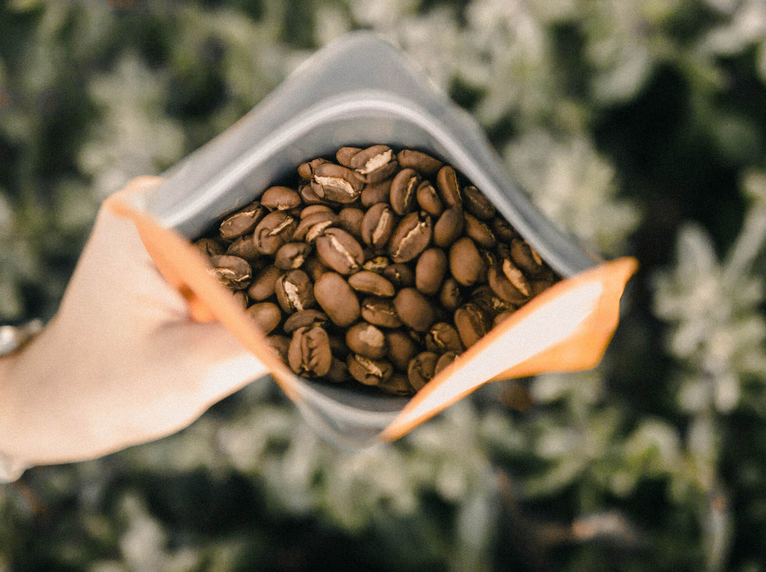 Café tostado personalizado