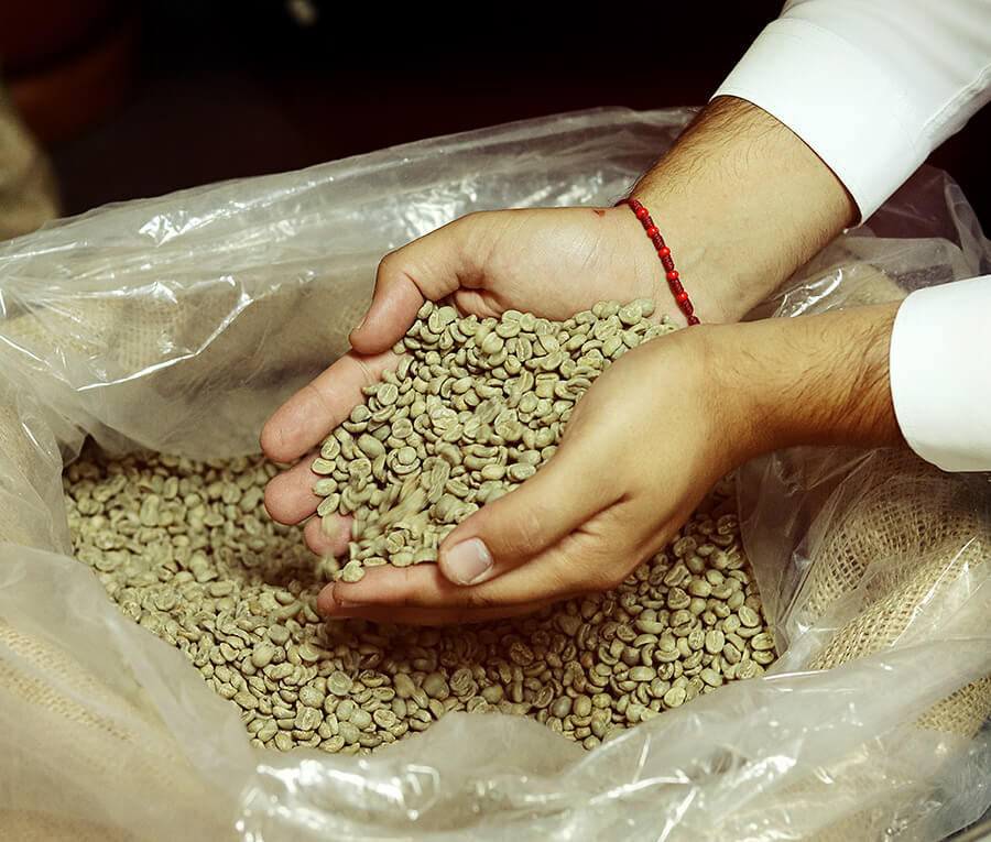 Grano de café para tu marca