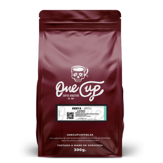 KenIa - BRISA (Lavado)