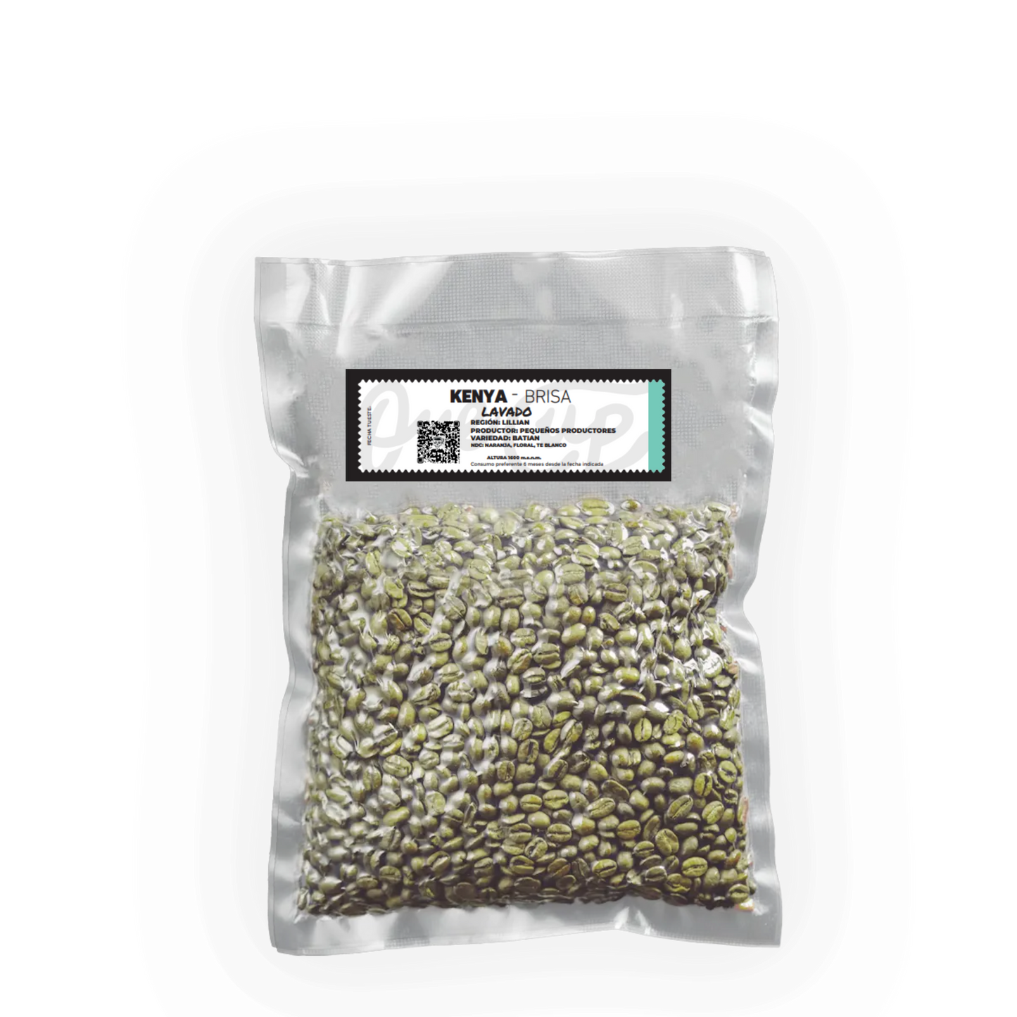 KenIa - BRISA (Lavado)