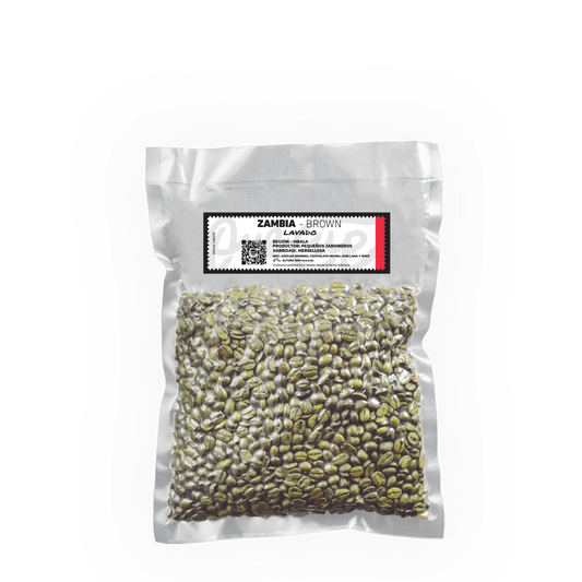 Zambia - Brown (Lavado)